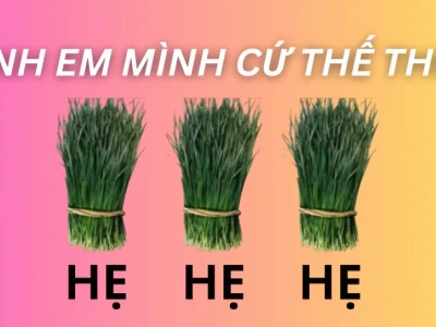 Khám phá "hẹ hẹ hẹ meme" và nguồn gốc "cứ thế thôi" hài hước