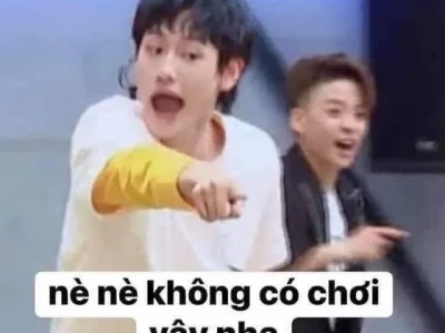 Khám phá kho ảnh chế hài hước độc đáo và giải trí đỉnh cao 2026