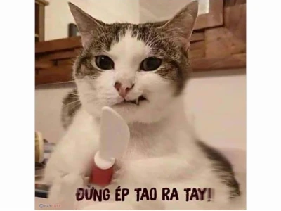 Khám phá thế giới ảnh meme người: Hài hước, độc đáo và đầy tính sáng tạo