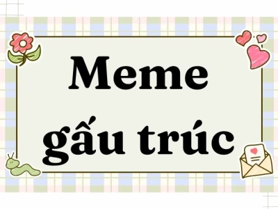 Khám phá thế giới Meme Gấu Trúc Trung Quốc: Hài hước và bựa lầy