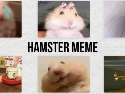 Khám phá thế giới meme hamster: Biểu cảm lầy lội khuấy đảo mạng xã hội 2026