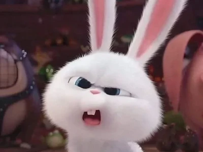Khám phá Thỏ Snowball Meme: BST Ảnh Dễ Thương và Hài Hước Nhất 2026