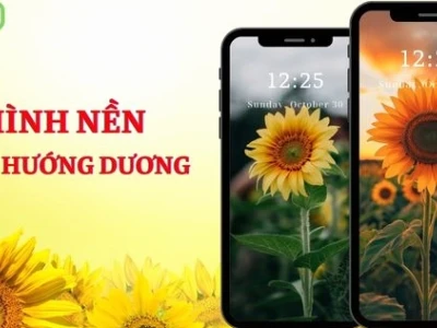 Khám phá vẻ đẹp avatar hoa hướng dương và ý nghĩa sâu sắc