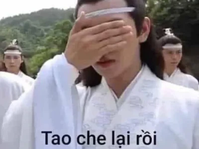 Tổng hợp Meme Mù Hài Hước và Bá Đạo Nhất