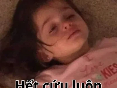 Tuyệt Vọng Meme Tổng Hợp Những Cảm Xúc Chân Thật Nhất